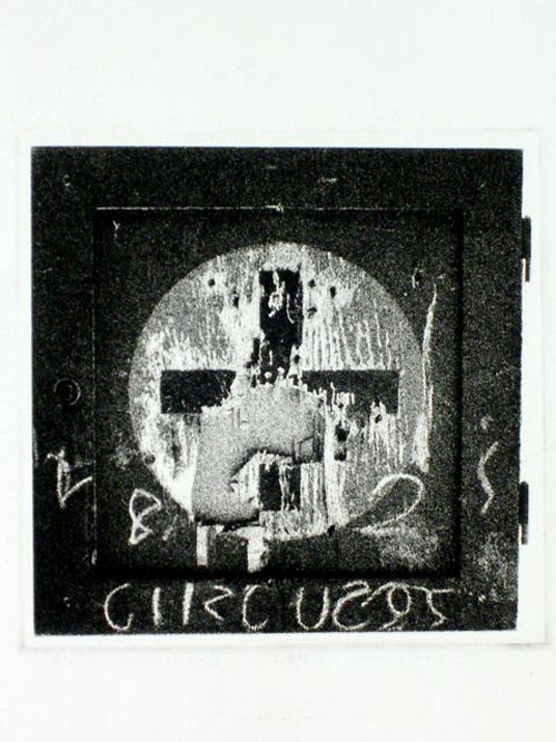 L'Arte È Una Zanzara Dalle Mille Ali