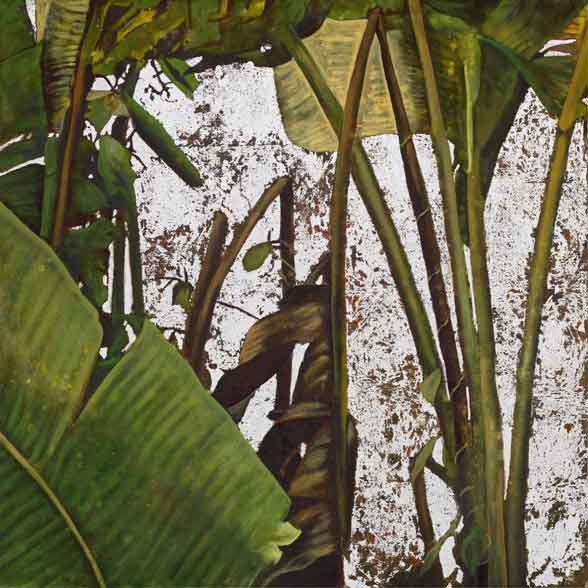 La Madera Y El Agua Protegieron Tus Sueños I