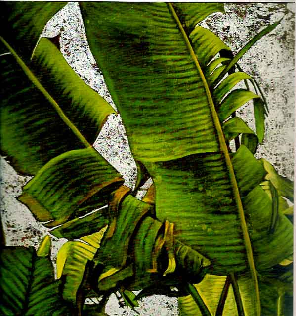 Magnificencia Del Rocío Sobre El Aire I