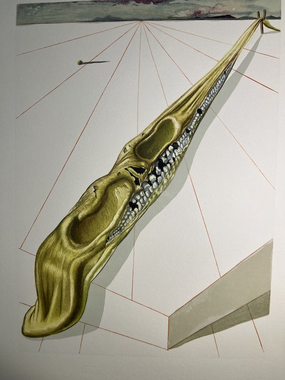 The divine comedy 24