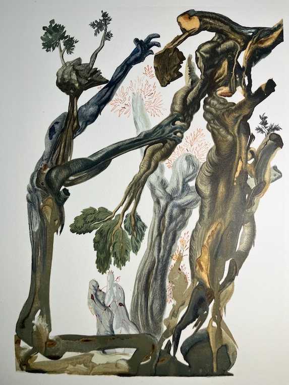 The divine comedy 23