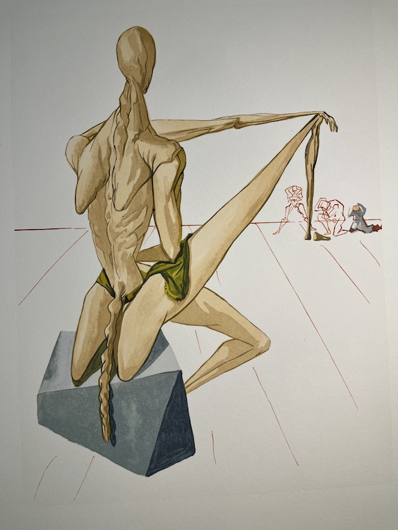 The divine comedy 44