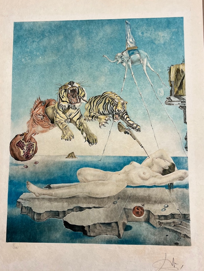 Dream caused by the flight of a bee around a pomegranate a second before waking up