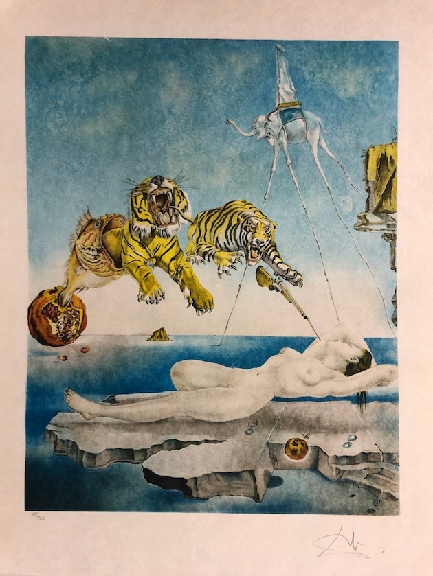 Dream caused by the flight of a bee around a pomegranate one second before waking up