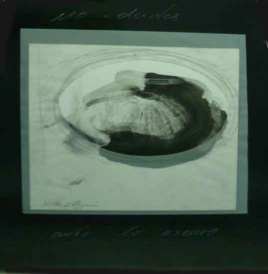 No Dudes Ante Lo Oscuro