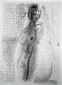 Picasso 15