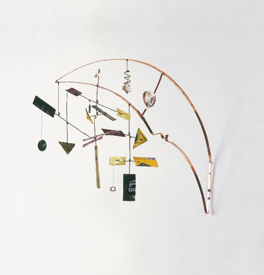 Satélite Por Natura