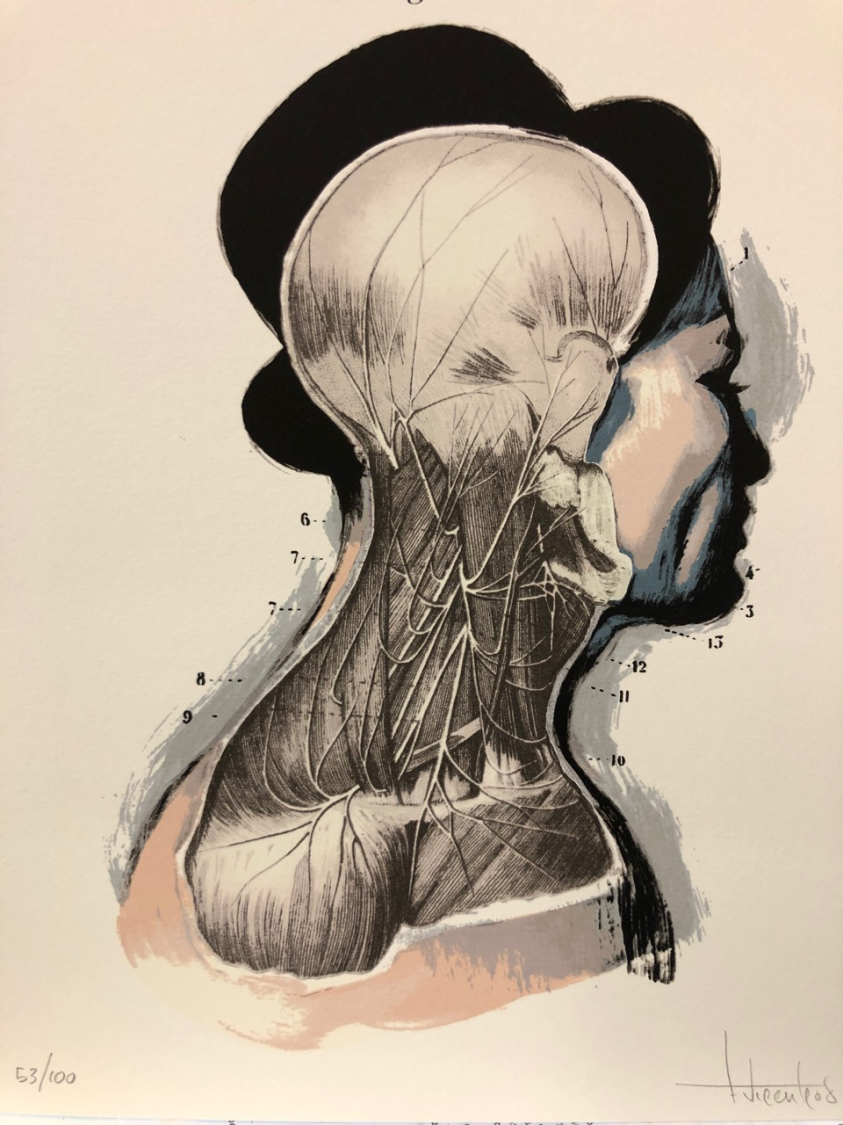 Fernando Vicente: La Belleza Chaud Froid I