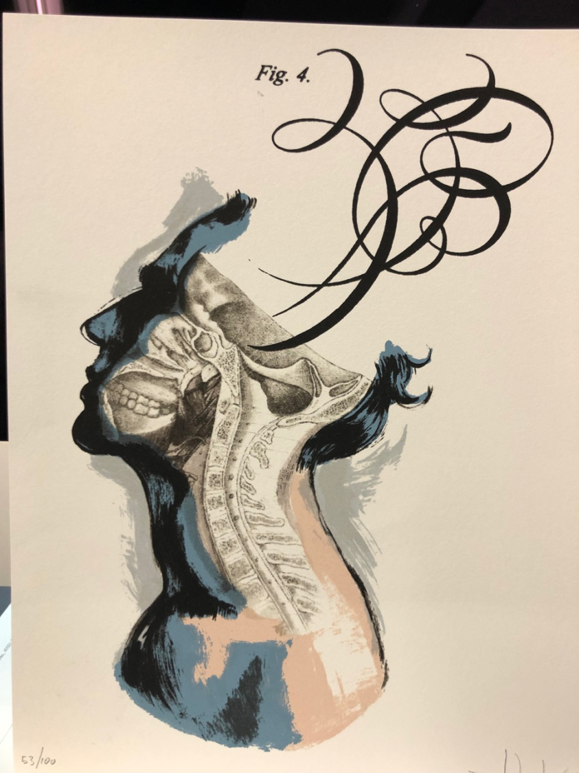 Fernando Vicente: La Belleza Chaud Froid V