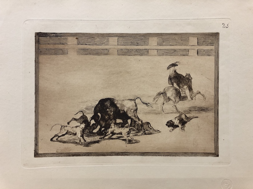 25. Echan perros al toro