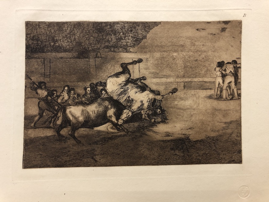 35B. Desgraciada embestida de un poderoso toro