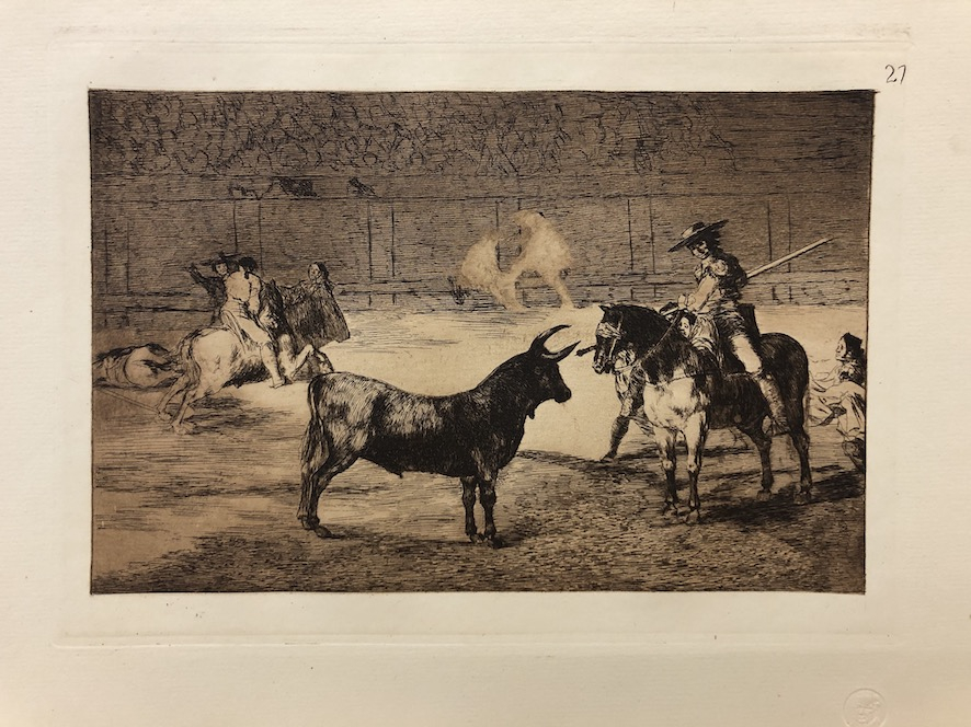 27.- El célebre Fernando del Toro, varilarguero, obligando a la fiera con su garrocha