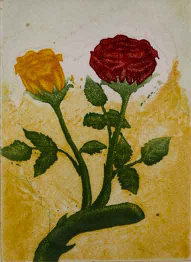 Flor Amarilla Y Roja