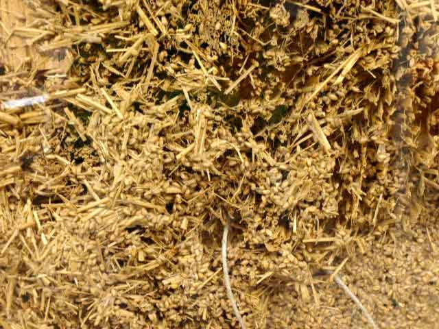 Obra Única (Detalle) 3