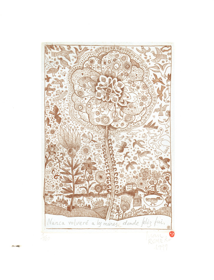 Juan Romero: El sur del solitario I