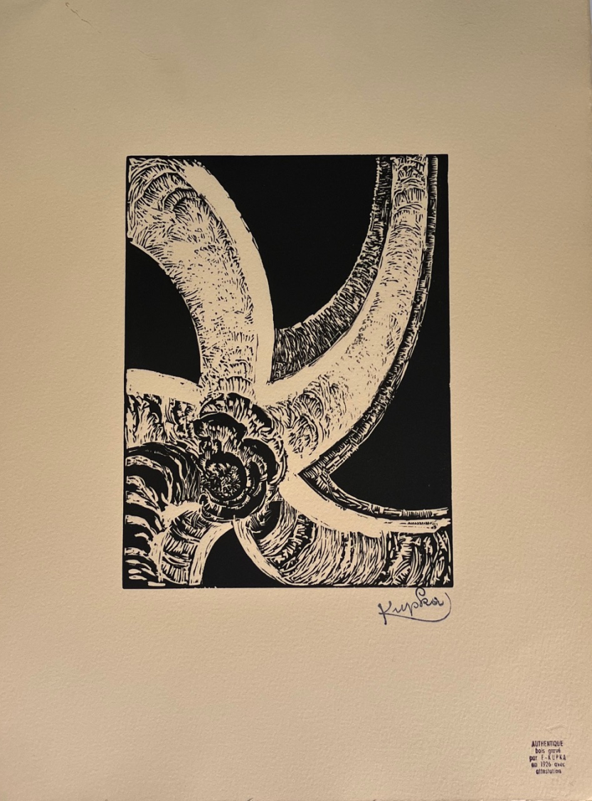 Quatre histoires de blanc et noir V