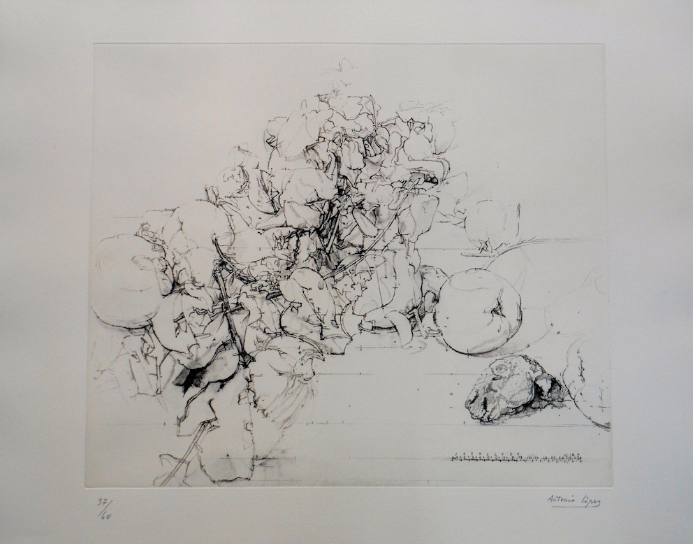 Membrillos, granadas y cabeza de conejo