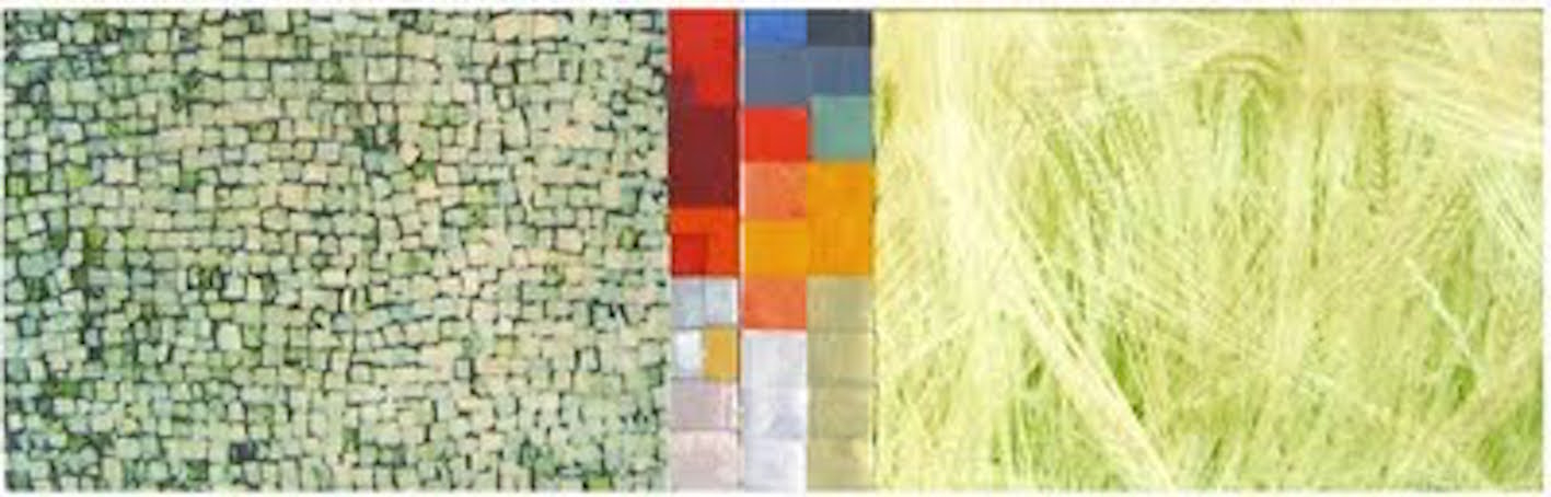 El alimento de la madera