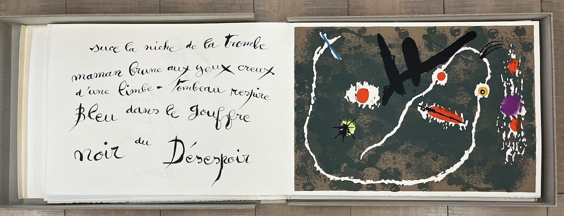 Le Lézard Aux Plumes d' or XXI