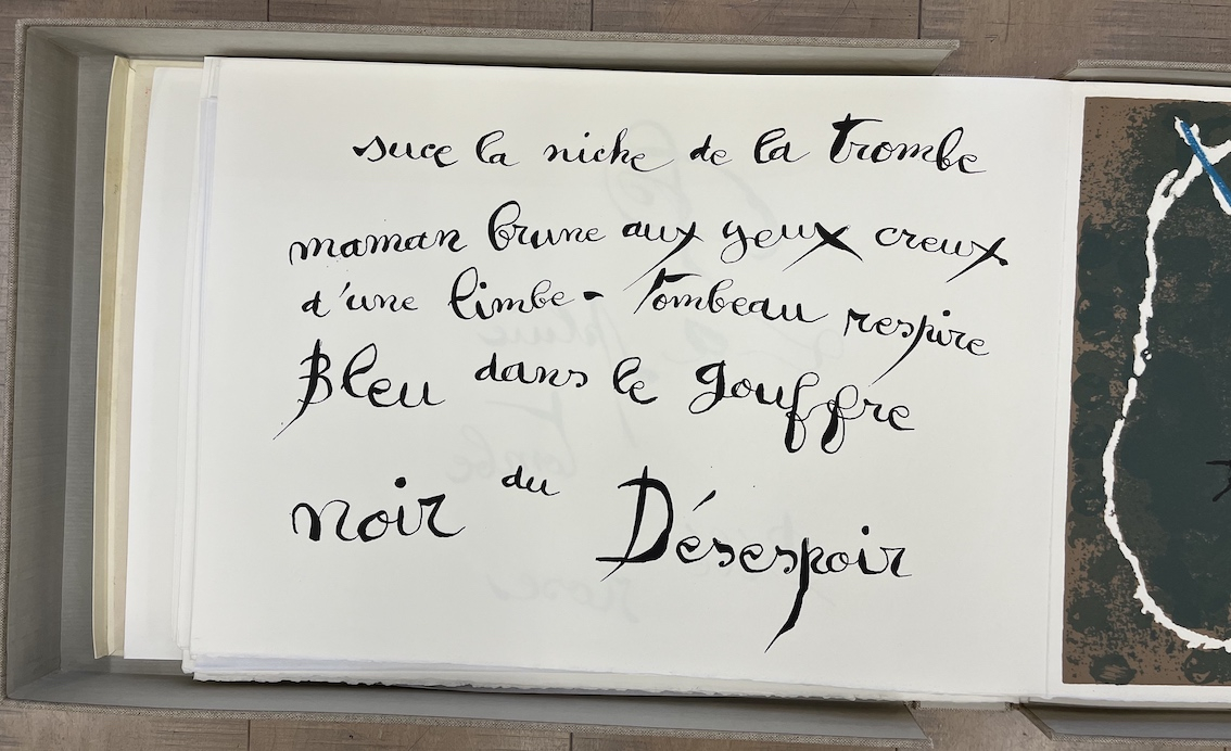 Le Lézard Aux Plumes d' or XXII