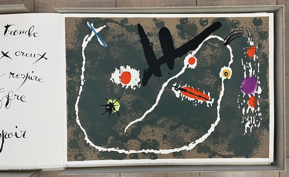 Le Lézard Aux Plumes d' or XXIII