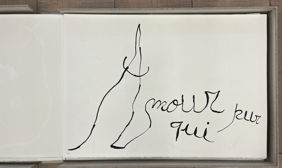 Le Lézard Aux Plumes d' or XXIV