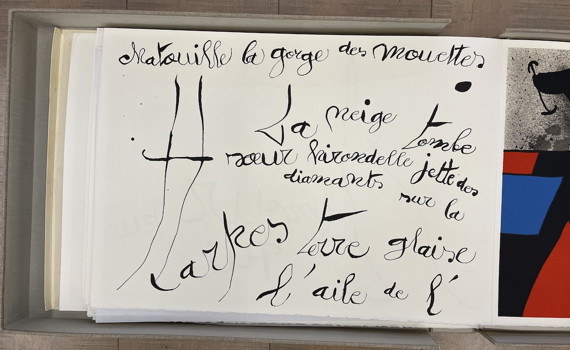 Le lézard aux plumes d' or XXVI
