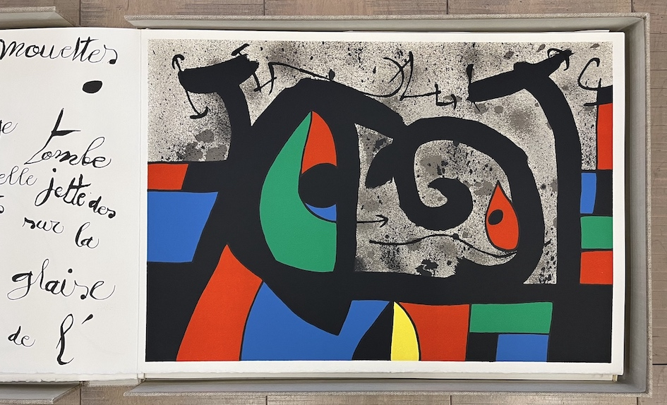 Le Lézard Aux Plumes d' or XXVII