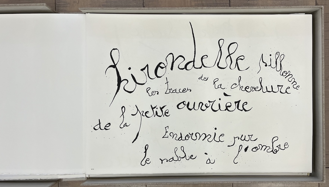 Le Lézard Aux Plumes d' or XXVIII