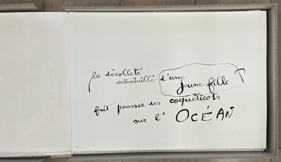 Le lézard aux plumes d' or XXXIV