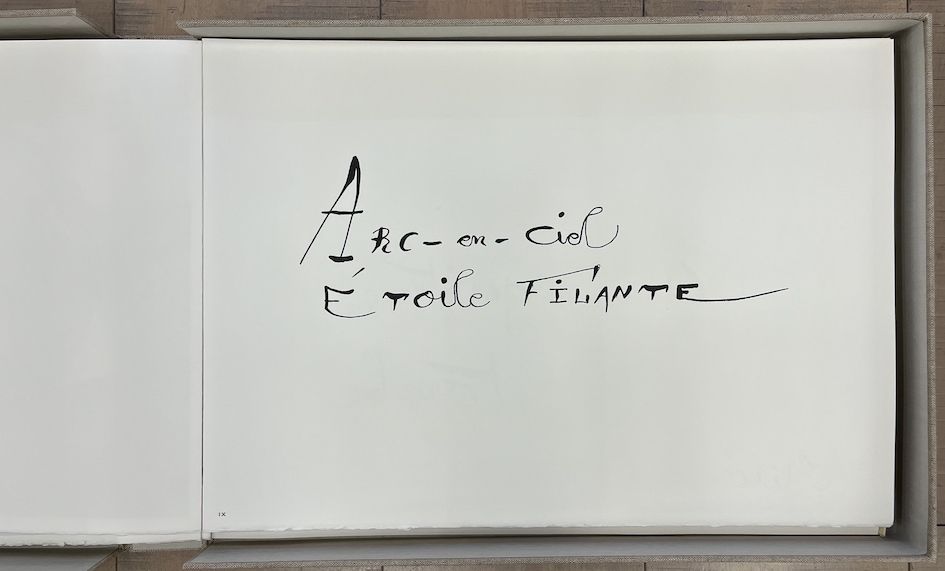 Le Lézard Aux Plumes d' or XXIX