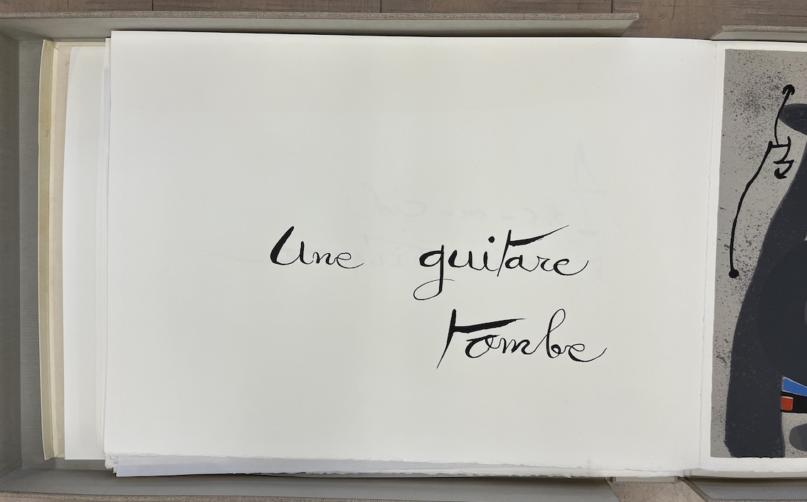 Le Lézard Aux Plumes d' or XL