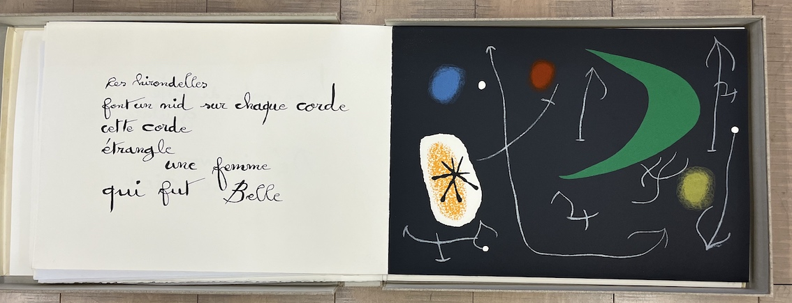 Le Lézard Aux Plumes d' or XLIII