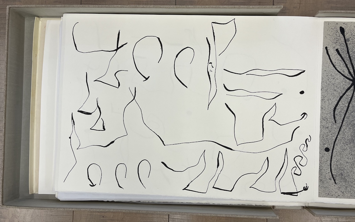 Le Lézard Aux Plumes d' or L