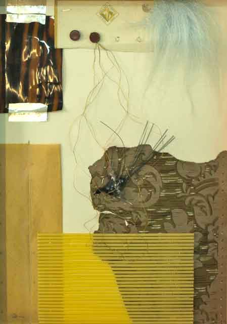 Golondrina Embotellada