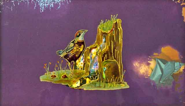 Holly Wet Bloomsbury