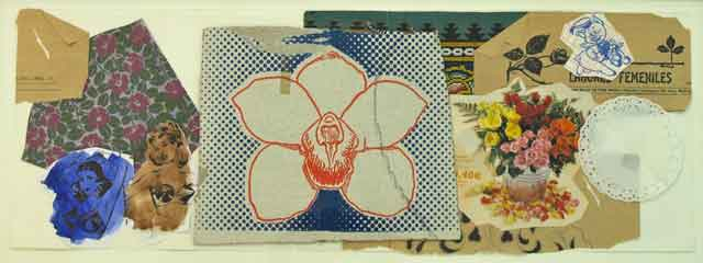 Panorámica Femenina