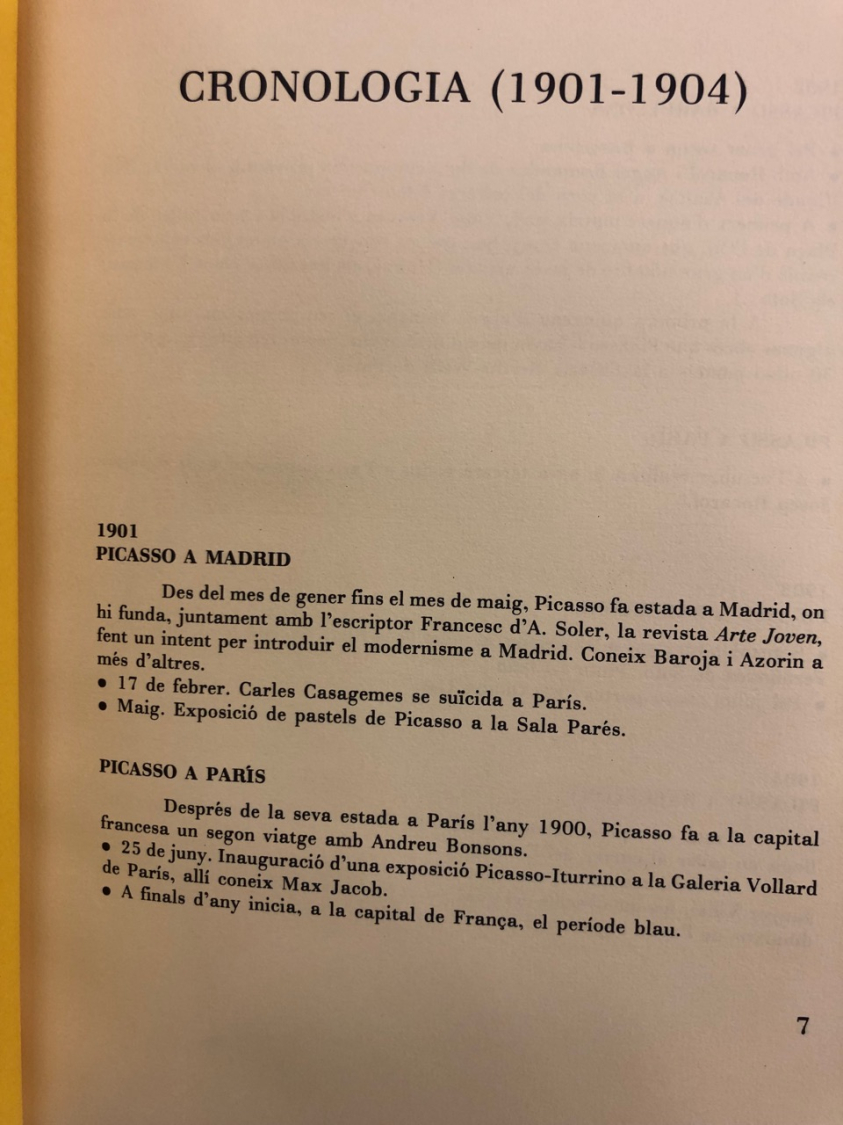 Pablo Picasso: Picasso viaje a Paris IV