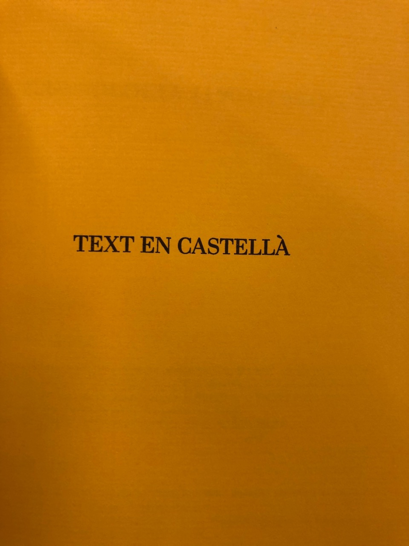 Pablo Picasso: Picasso viaje a Paris VI