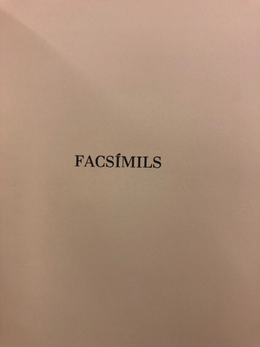 Pablo Picasso: Picasso viaje a Paris VII