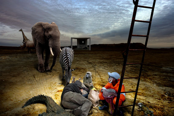 Escalera de Jacob a la vida salvaje