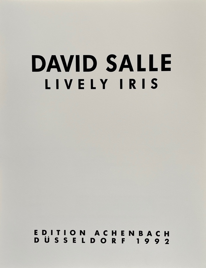 Portada  de la carpeta David Salle