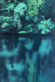 Reflejo en el bosque