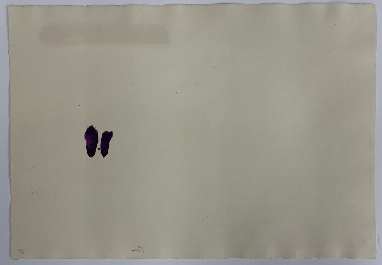 El pa a la Barca VII