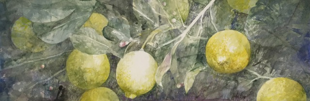 Limones II