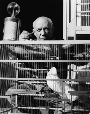 Picasso Con La Paloma