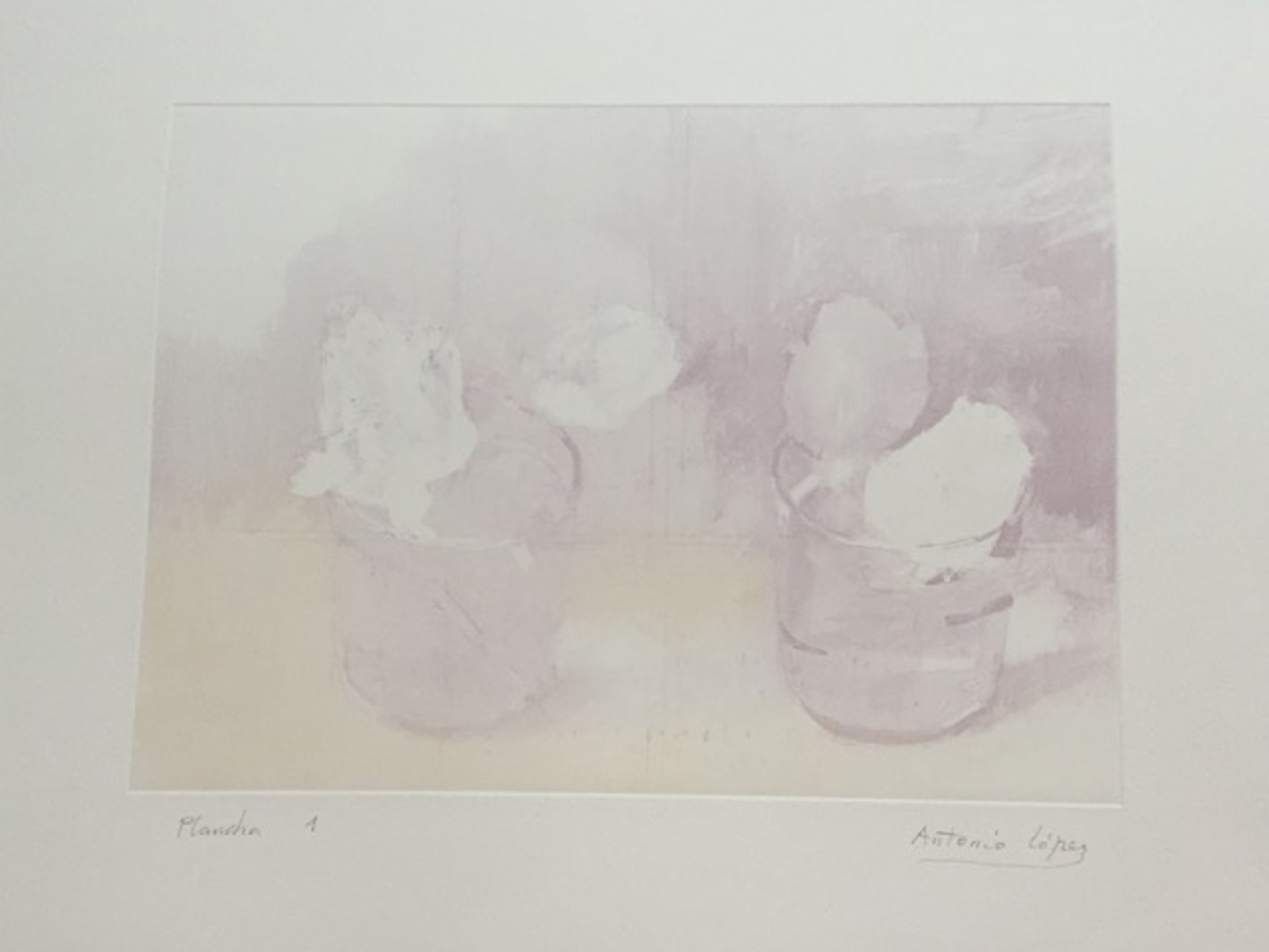 Rosas de invierno (plancha 1)