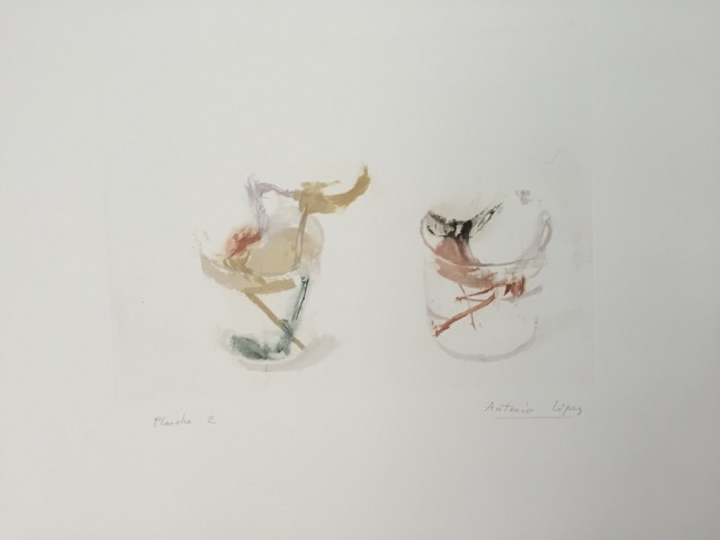 Winter roses (plate 2)