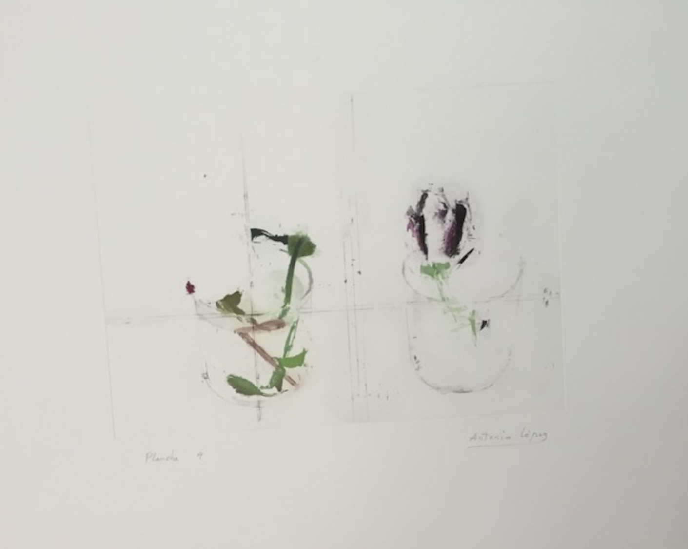 Rosas de invierno (plancha 4)