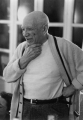Picasso 3